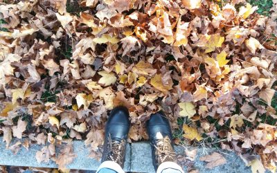 I profumi dell’autunno